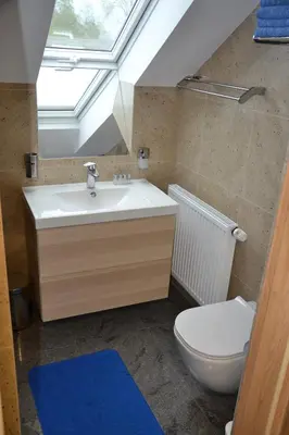 a bathroom with a sink and a toilet with a skylight at Penzion Aurooms in Zlatníky