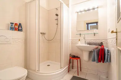 a bathroom with a shower and a toilet and a sink at Karmelitska 1 luxury 1 bedroom in Prague