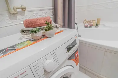 a washing machine with two plants on top of it at Karmelitska 2 luxury 1B apartment in Prague