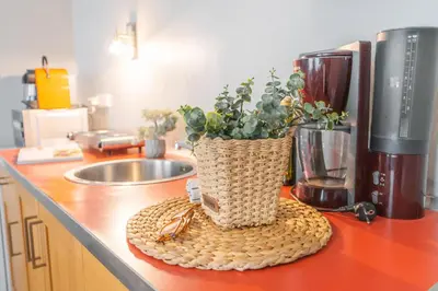 a kitchen counter with a vase with a plant on it at Karmelitska 2 luxury 1B apartment in Prague