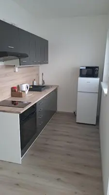 a kitchen with a sink and a refrigerator at Apartmán u letiště in Tuchoměřice