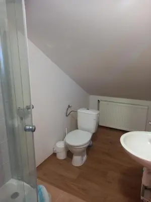 a bathroom with a toilet and a sink at U Dobroty in Nový Dŭm