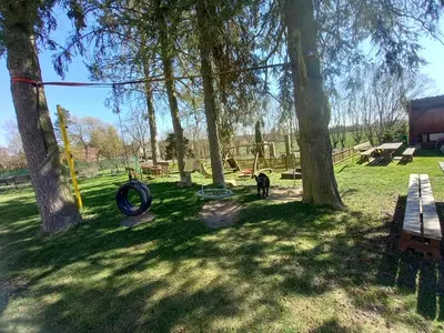a dog standing next to a park with trees at U Dobroty in Nový Dŭm
