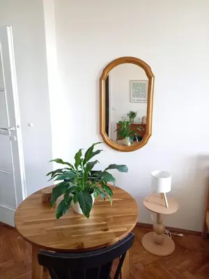 a table with a plant on it with a mirror at Hezký apartman s balkonem in Prague