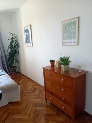 a bedroom with a dresser and potted plants at Hezký apartman s balkonem in Prague
