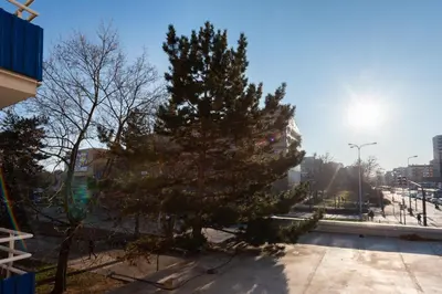 a tree on a sidewalk next to a street at All-in 2 Bedroom Family Apartment in Prague