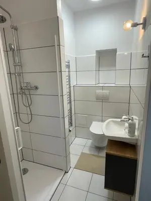 a bathroom with a shower and a sink and a toilet at New Apartment near to Elbe bicycle path in Roudnice nad Labem