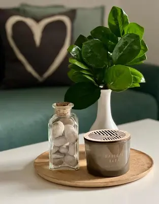 a glass jar of rocks next to a vase with a plant at Apartmány Křivoklát in Křivoklát