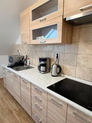 a kitchen with a sink and a counter top at Sleep & Go Czech Republic - Korycany in Neratovice