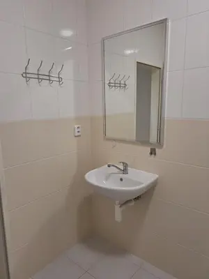 a white bathroom with a sink and a mirror at Sleep & Go Czech Republic - Mořina in Mořina