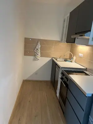 a small kitchen with a sink and a counter at Bright & Cosy 1-Bedroom Apartment with Balcony in Prague