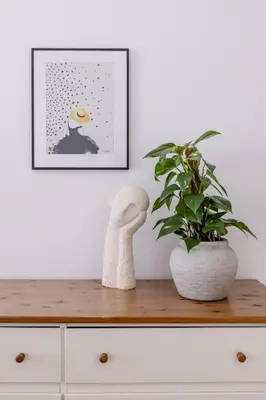 a plant sitting on top of a dresser with a picture at TurnKey I Old Town 5BR Loft Apartment in Prague
