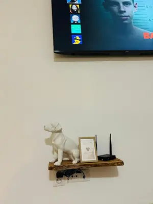 a shelf with a dinosaur statue and a television at Romantic apartment by the city center in Prague