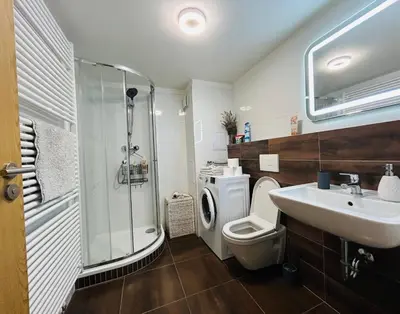 a bathroom with a shower toilet and a sink at Romantic apartment by the city center in Prague