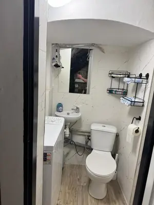 a small bathroom with a toilet and a sink at Suterénní apartmán na Hejtmánce u letiště v Mladé Boleslavi in Mladá Boleslav