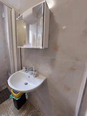a bathroom with a sink and a mirror at HaKhanhFamily in Prague