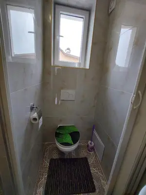 a bathroom with a toilet with a green seat at HaKhanhFamily in Prague