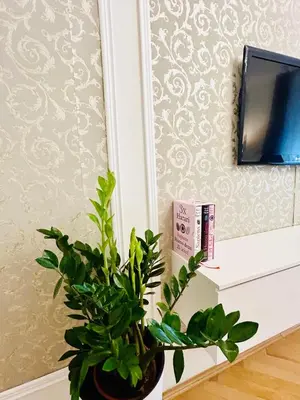 a plant sitting on a shelf next to a tv at Luxury and cozy apartment Vinohrady Prague in Prague