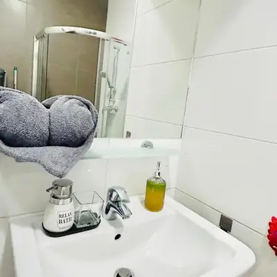 Luxury and cozy apartment Vinohrady Prague