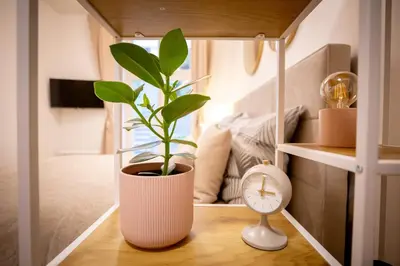 a plant sitting on a table next to a clock at The Wenceslas Square Terrace in Prague