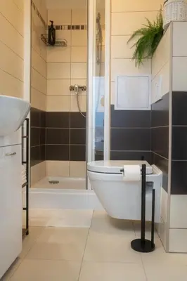 a bathroom with a toilet and a shower and a tub at Apartmán Slunce in Poděbrady