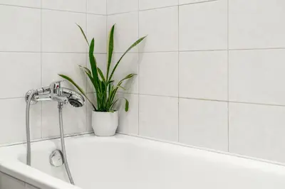 a white bathroom with a plant in a tub at Cozy warm studio in Prague city center in Prague