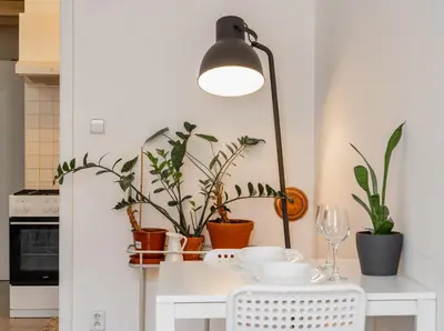 a dining room table with plants and a lamp at Cozy warm studio in Prague city center in Prague