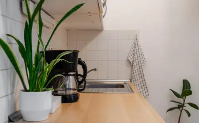 a kitchen counter with a coffee maker and a plant at Cozy warm studio in Prague city center in Prague
