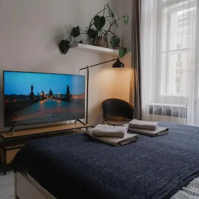Cozy warm studio in Prague city center