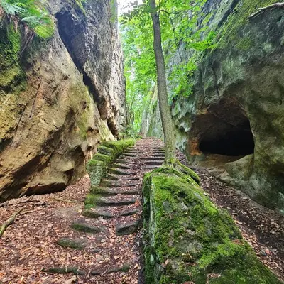 a path in a mountain with a tree on it at Roubenka pod hradem Kokořín in Kaninský Dŭl
