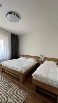 a bedroom with two twin beds and a rug at VilaVala in Nymburk