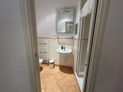 a bathroom with a sink and a mirror at Vip Prague Apartments Petrska 25 in Prague