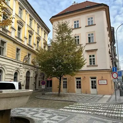 Vip Prague Apartments Petrska 25