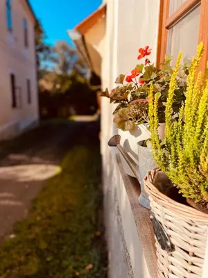 a row of potted plants on a wall at Statek Adámek in Borotice