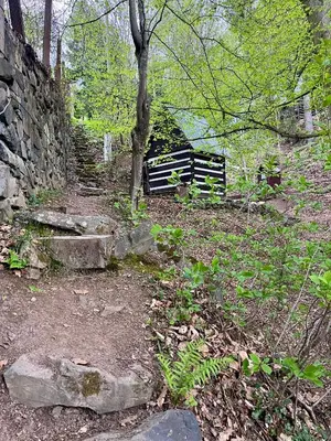 a stone wall with a bench next to a tree at Králíkova chatka in Kaliště