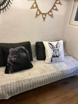 a cat and a rabbit pillow on a couch at Králíkova chatka in Kaliště