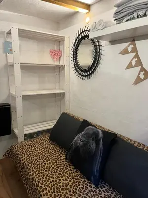 a black cat laying on a couch in a room at Králíkova chatka in Kaliště