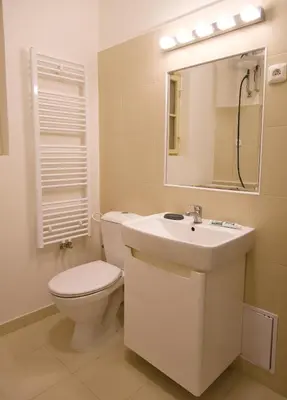 a bathroom with a toilet and a sink and a mirror at Quiet and spacious flat near city centre in Prague 3 in Prague