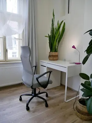 a office with a chair and a desk and a plant at Quiet and spacious flat near city centre in Prague 3 in Prague