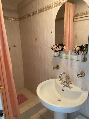 a bathroom with a sink and a shower at Apartment in a family home in Chocerady