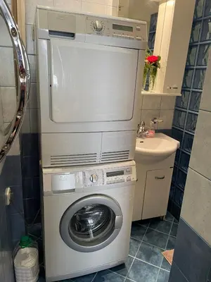 a washing machine in a bathroom with a sink at Apartment Flora Lobkovic in Prague