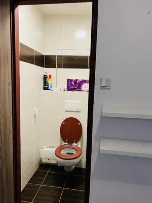 a bathroom with a toilet with a wooden seat at Chodov apartmán in Prague