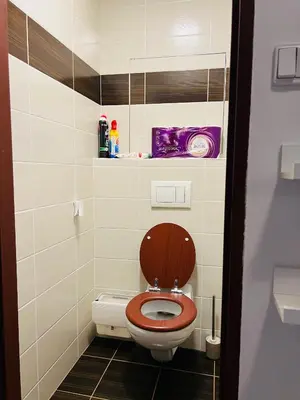 a toilet with a wooden seat in a bathroom at Chodov apartmán in Prague