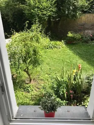 a view of a garden from a window with plants at Bright and cozy studio 15 minutes to city center in Prague