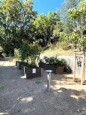a group of potted plants in a garden at Apartment Sport & Sauna Prague in Prague