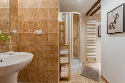 a bathroom with a sink and a shower at Parkview Studio in Prague