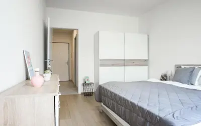 a bedroom with a large bed and a mirror at Waltrovka One bed room apartment in Prague