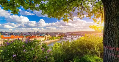 a view of a city with a river and a bridge at Cute room D2 Prague 7 in Prague