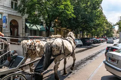 a horse pulling a carriage on a city street at FAMILY 2 BEDROOM APARTMENT IN THE CITY CENTRE - by WISHLIST PRAGUE in Prague