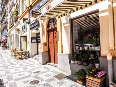 an empty street with a shop with flowers and plants at Classic room E5 Prague centre in Prague